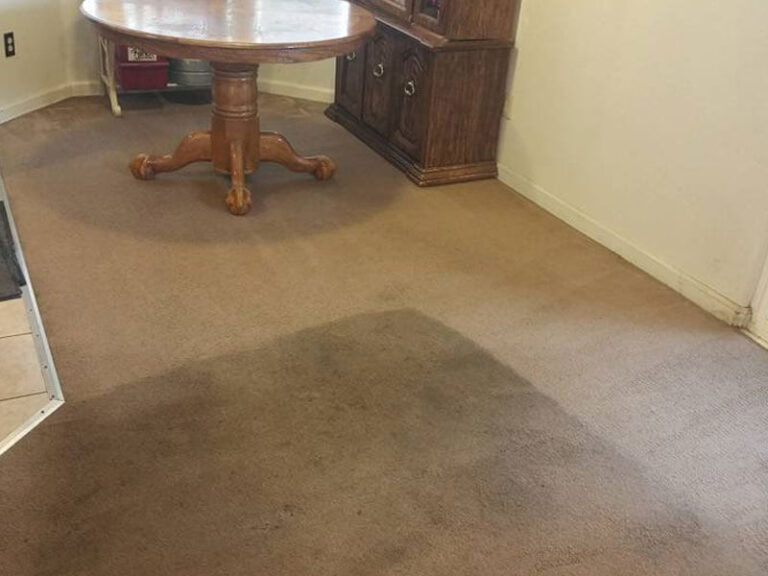 cleaning carpet of kitchen area
