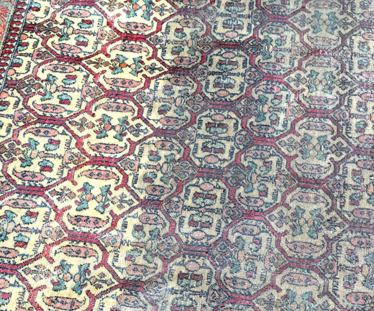 cleaning of rug before after e1668532524972