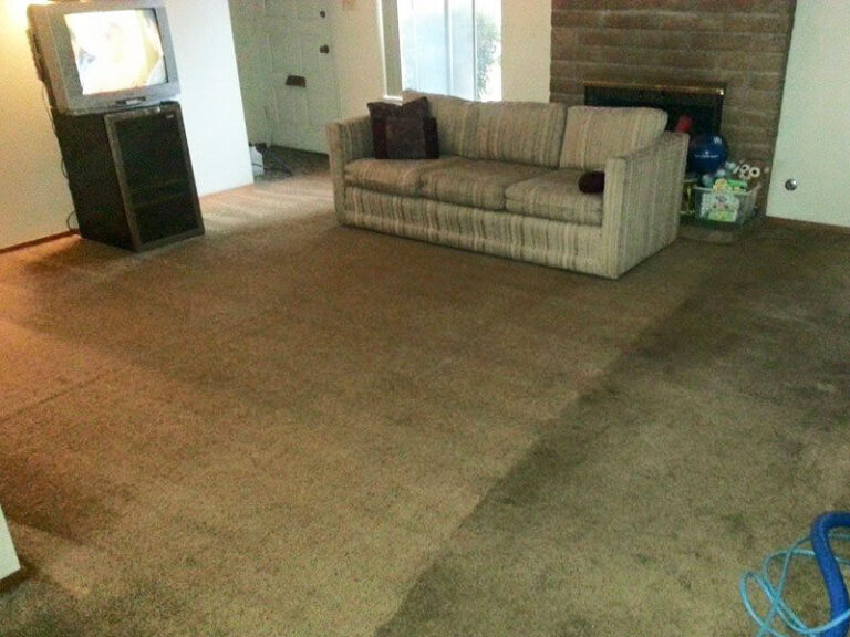 livingroom carpet before after service