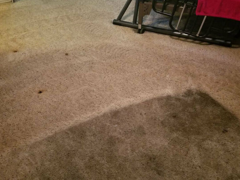 messy carpet to clean